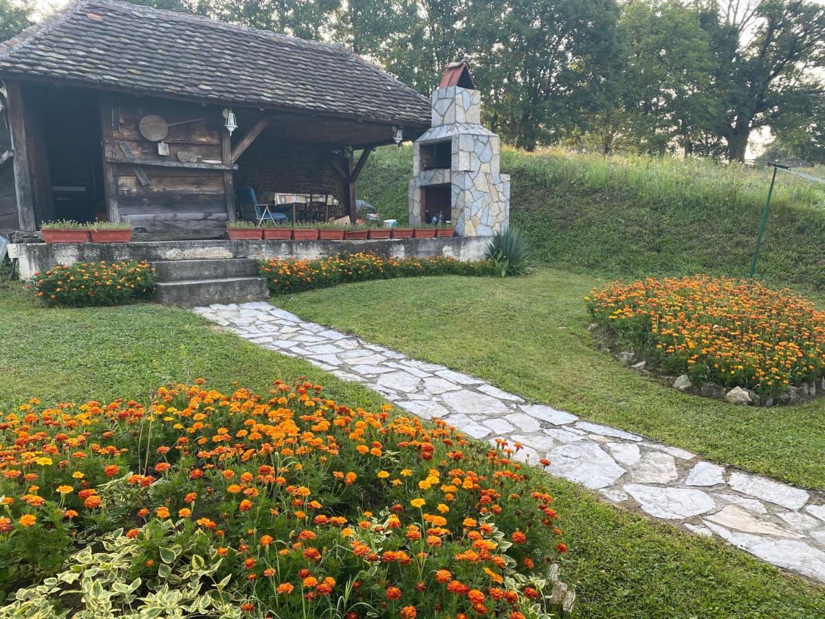 Holiday Home Rodjak Sa Sela Mionica Ngoại thất bức ảnh