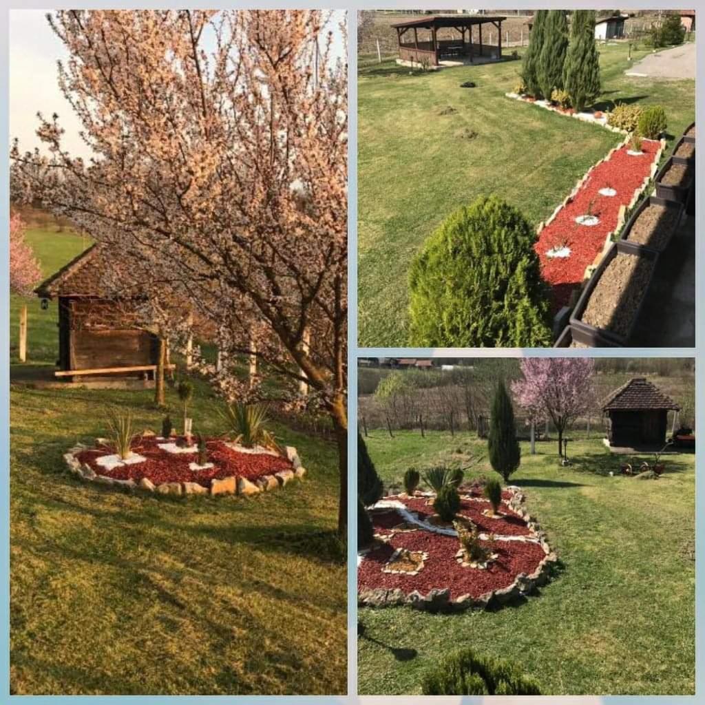 Holiday Home Rodjak Sa Sela Mionica Ngoại thất bức ảnh